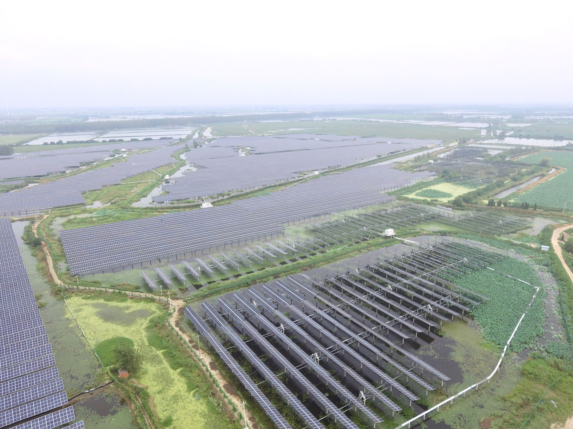 lehu-乐虎-(88国际)科技江苏扬州宝应光伏发电应用领跑基地2号100兆瓦项目
